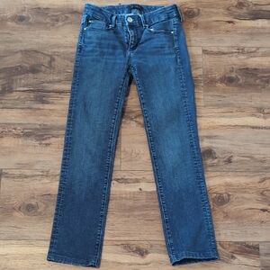 Ann Taylor Blue Denim Jeans